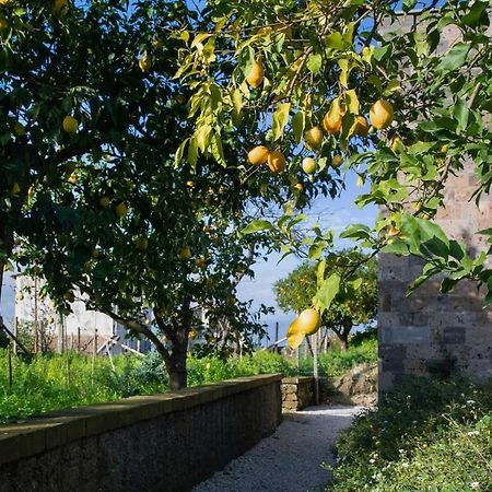 Domus Maresca Villa Sant'Agnello Exterior photo